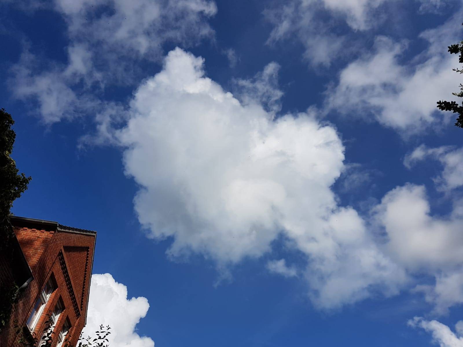Ordination in der Christurkirche in Egestorf/Kirchenkreis Ronneberg am 16.06.2012